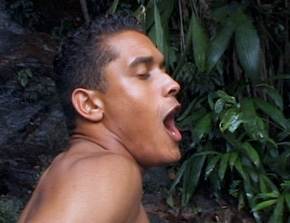 Apollos s'enquillent two islands in the jungle 11